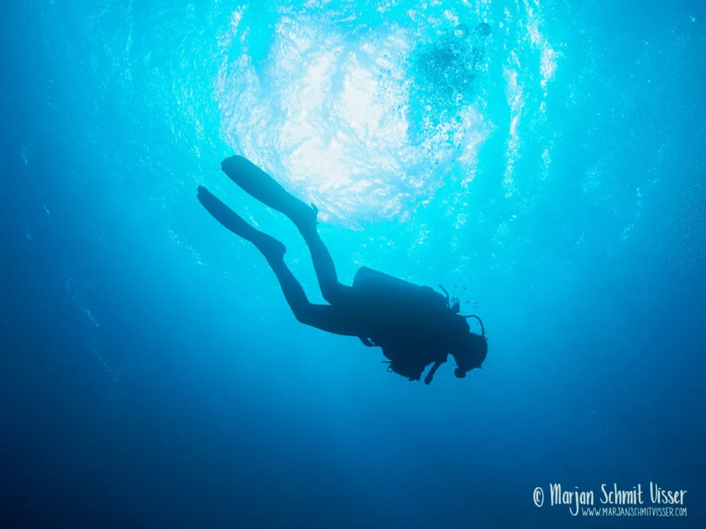 Onderwaterfotografie 2 Onderwaterfotografie 2011 0618 4529 Boat Trip Gabr el Bint Dahab Egyp 1280px © Marjan Schmit Visser Laat je meeslepen door adembenemende onderwaterfotografie: uniek zeeleven, exotische locaties en sfeervolle beelden.