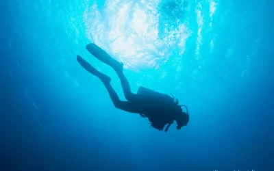 Vijf principes voor een sterk merkverhaal