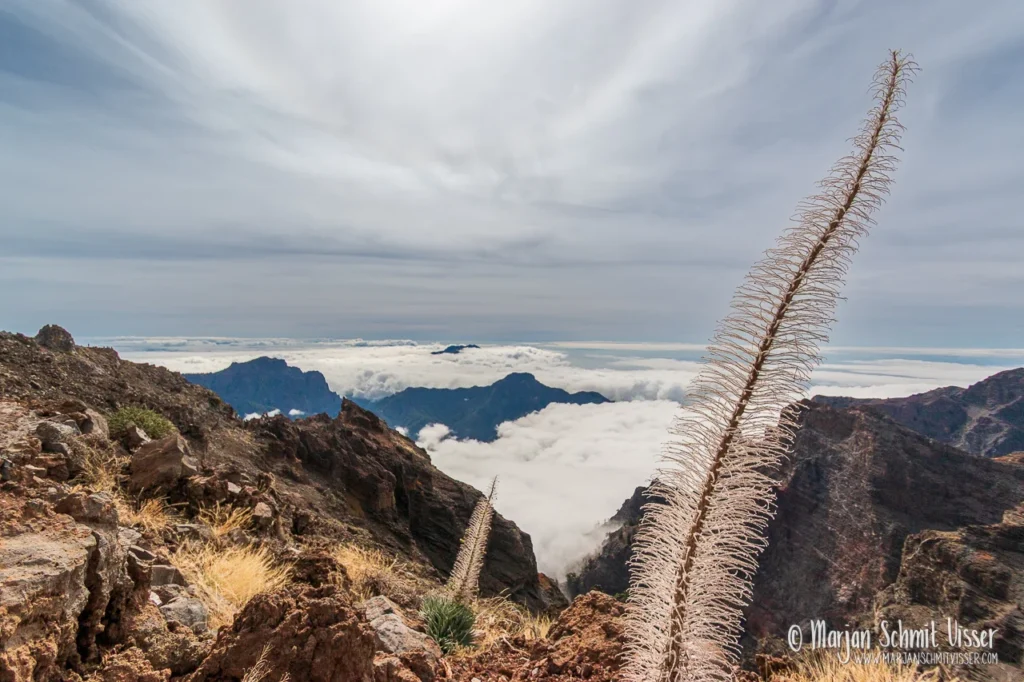 2014 1113 0893 Roque de Los Muchachos La Palma 1280px © Marjan Schmit Visser Laat je meeslepen door adembenemende onderwaterfotografie: uniek zeeleven, exotische locaties en sfeervolle beelden.