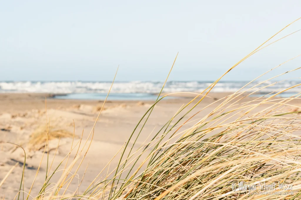 2020 0204 2596 Holiday Terschelling The Netherlands 1280px © Marjan Schmit Visser Ontdek unieke landschapsfotografie van de Nederlandse kust: Waddenzee, Noordzee, natuur, rust & sfeer. Bekijk de collectie van Marjan Schmit Visser.