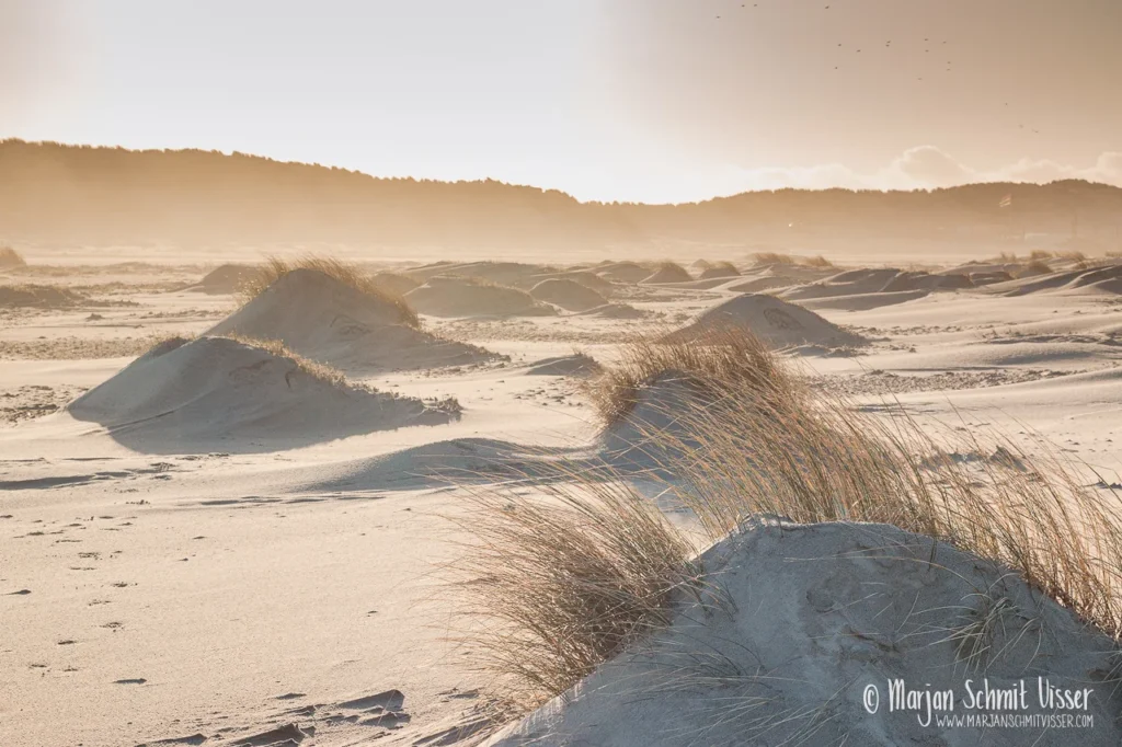Aan de Nederlandse kust 29 Aan de Nederlandse kust 2020 0204 2598 Holiday Terschelling The Netherlands 1280px © Marjan Schmit Visser Ontdek unieke landschapsfotografie van de Nederlandse kust: Waddenzee, Noordzee, natuur, rust & sfeer. Bekijk de collectie van Marjan Schmit Visser.