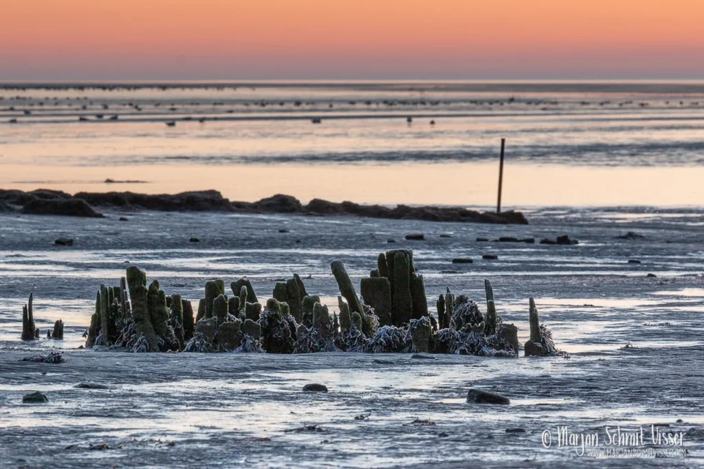 2021 0131 5964 Sunrise Striep Terschelling The Netherlands 1280px © Marjan Schmit Visser Ontdek unieke landschapsfotografie van de Nederlandse kust: Waddenzee, Noordzee, natuur, rust & sfeer. Bekijk de collectie van Marjan Schmit Visser.