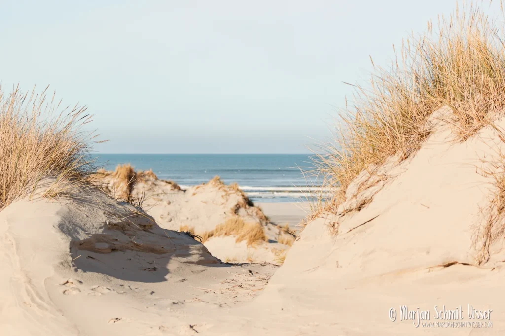 Zandpad tussen duinen met helmgras op Terschelling, Nederland, met uitzicht op zee onder een heldere lucht.