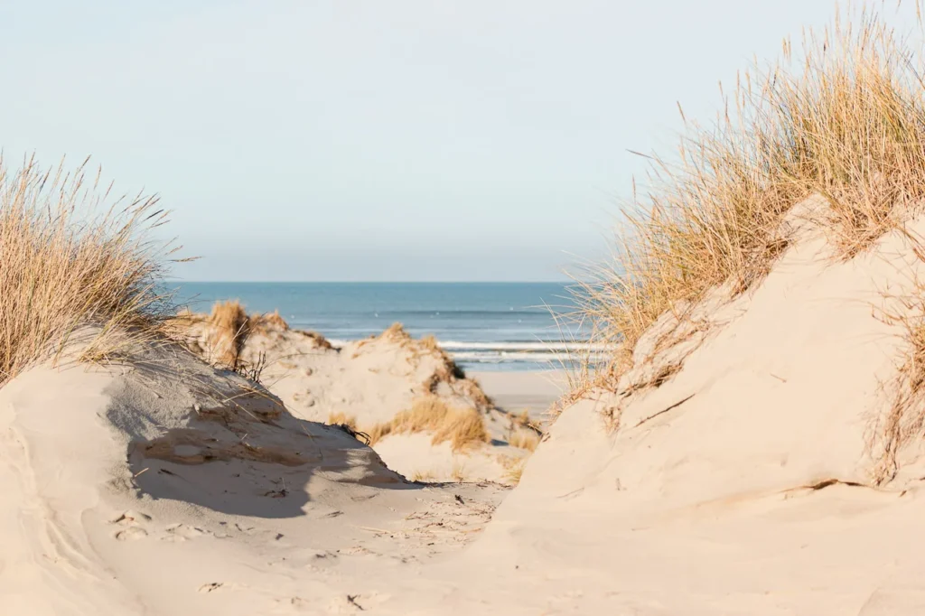 Tussen twee zandduinen opent zich een smal pad dat uitzicht biedt op de kalme Noordzee. Het licht valt helder over het zand, helmgras vangt de zon en de lucht is strakblauw.
