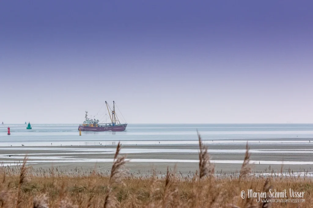 Vissersboot op het wad bij Terschelling, Nederland, met lage waterstand en zachte blauwgrijze lucht op de achtergrond.