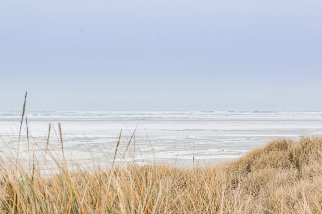 Uitzicht over de Noordzee vanuit de duinen van Terschelling