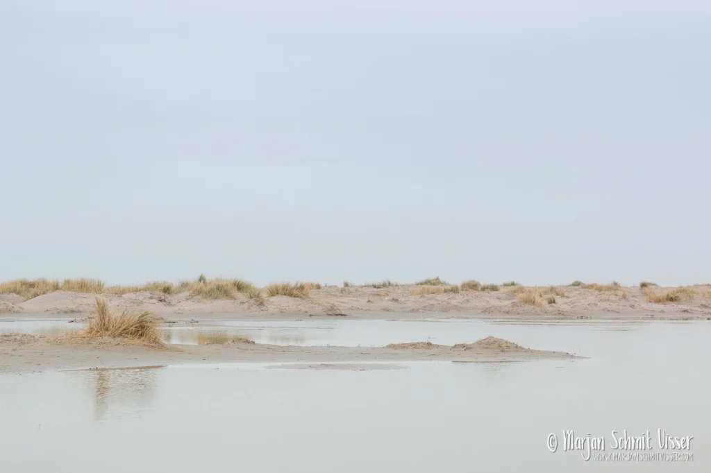 Aan de Nederlandse kust 16 Aan de Nederlandse kust Duinvallei met stilstaand water en helmgras op Terschelling, Nederland, onder een grijze lucht.