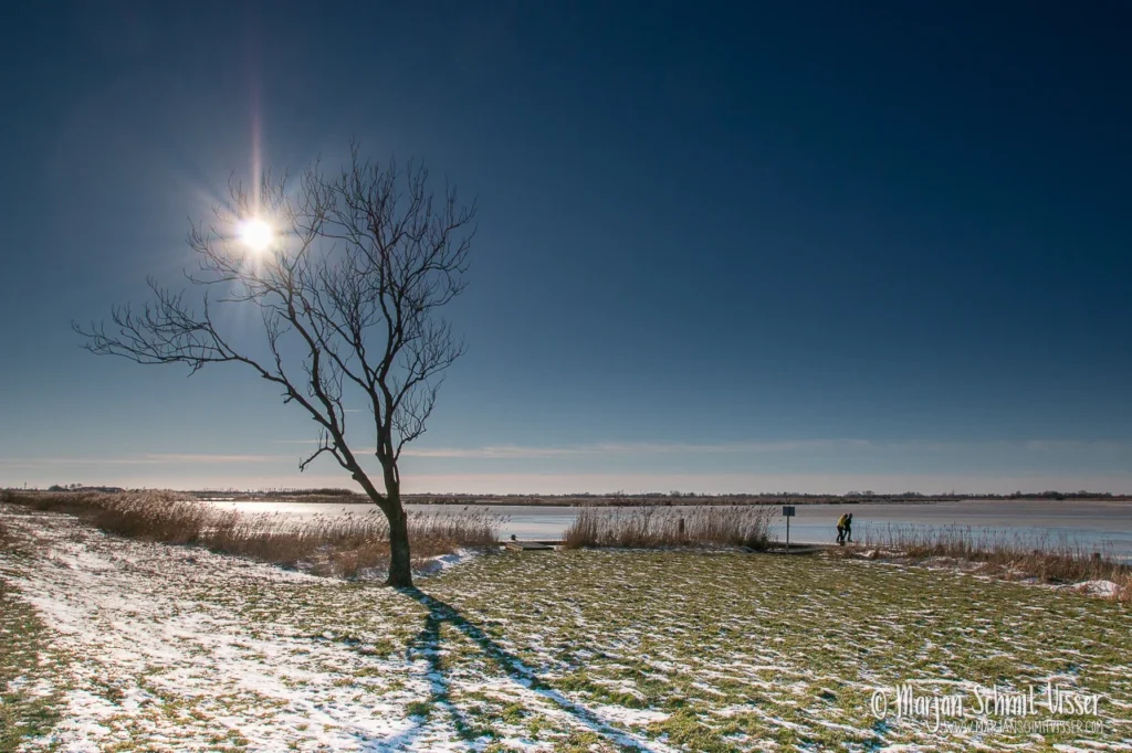 Winterlandschap met kale boom en zon boven bevroren water in De Fryske Marren, Nederland, met een persoon bij de oever.