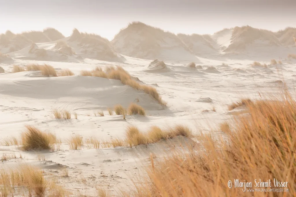 2022 0130 8338 Walk Oosterend Terschelling The Netherlands 1280px © Marjan Schmit Visser Ontdek unieke landschapsfotografie van de Nederlandse kust: Waddenzee, Noordzee, natuur, rust & sfeer. Bekijk de collectie van Marjan Schmit Visser.