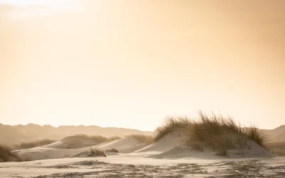 Aan de Nederlandse kust