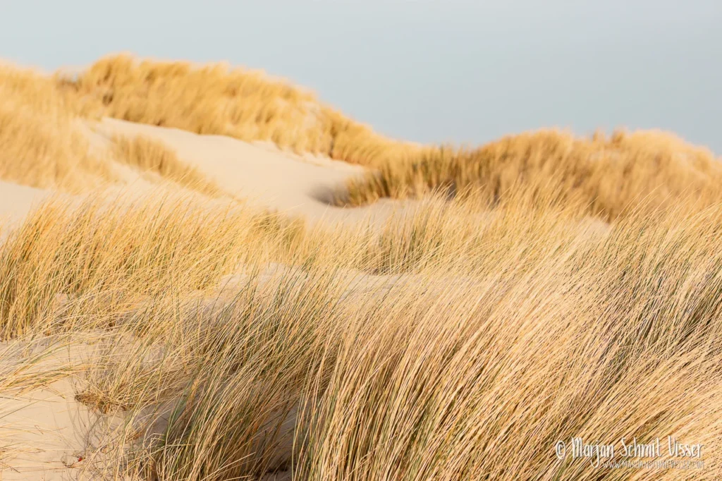 Aan de Nederlandse kust 9 Aan de Nederlandse kust 2022 0130 8364 Walk Oosterend Terschelling The Netherlands 1280px © Marjan Schmit Visser Ontdek unieke landschapsfotografie van de Nederlandse kust: Waddenzee, Noordzee, natuur, rust & sfeer. Bekijk de collectie van Marjan Schmit Visser.