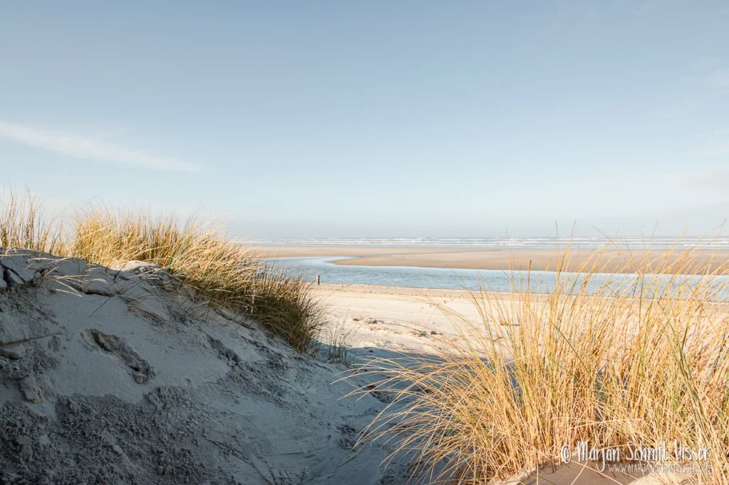 Uitzicht tussen helmgras over het strand en de zee op Terschelling, Nederland, met helder licht en zachte tinten.