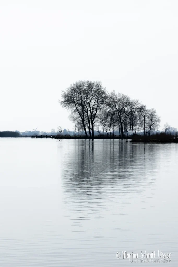 Landschapsfotografie 8 Landschapsfotografie Rij kale bomen weerspiegeld in het kalme water van de Saltpoel bij Terherne, Nederland, onder een bleke winterlucht.