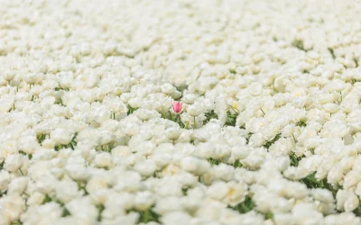 Zo voer je een zoekwoordenanalyse uit