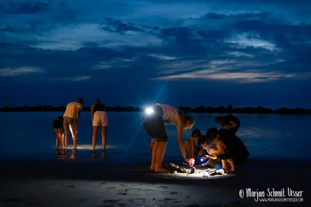 Reisfotografie 12 Reisfotografie 2023 0908 1890 Travel France Wimereux France 1280px © Marjan Schmit Visser Laat je meeslepen door adembenemende onderwaterfotografie: uniek zeeleven, exotische locaties en sfeervolle beelden.
