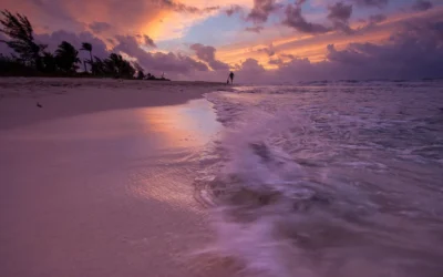 Starten als ondernemer